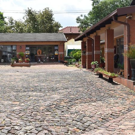 African Elephant Guesthouse Germiston Zewnętrze zdjęcie